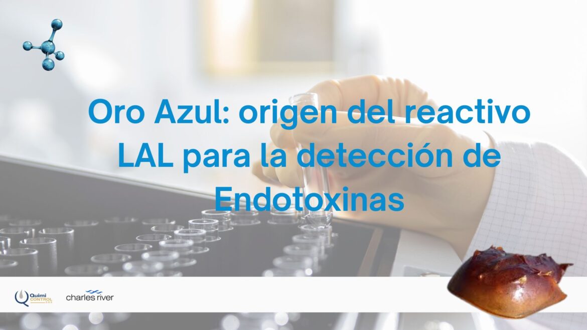 Banner LinkedIn y Pagina Web (27)