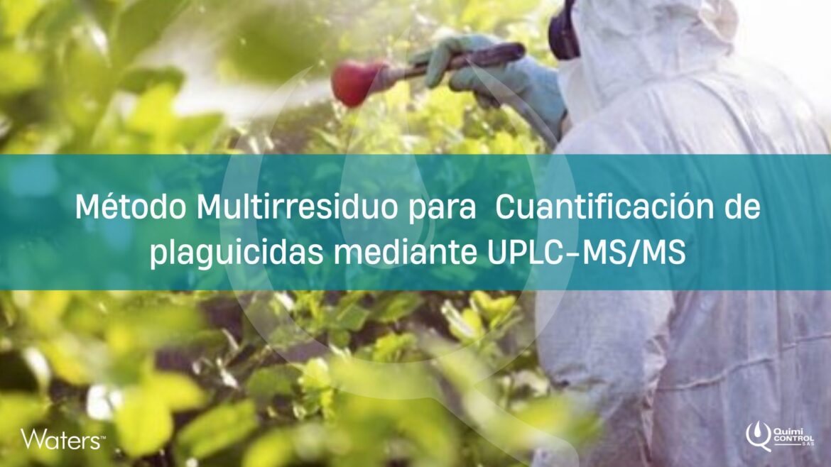 Banner LinkedIn y Pagina Web (17)