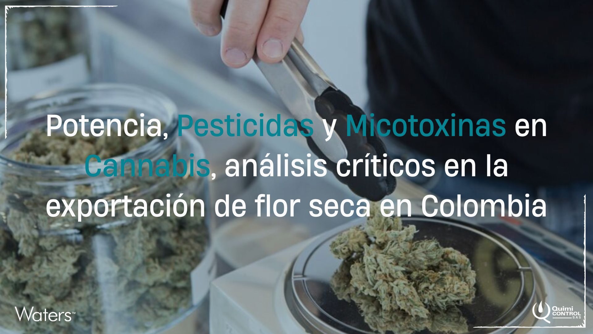 Banner LinkedIn y Pagina Web (18)