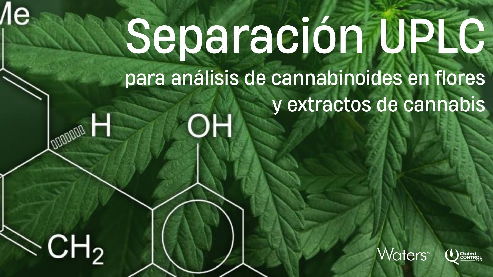 Banner LinkedIn y Pagina Web (12)