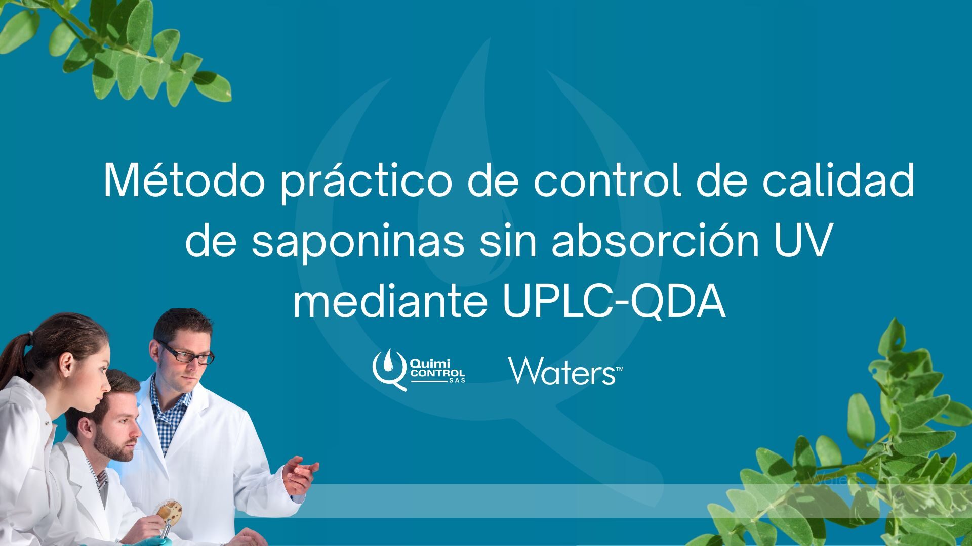 Banner LinkedIn y Pagina Web (5)